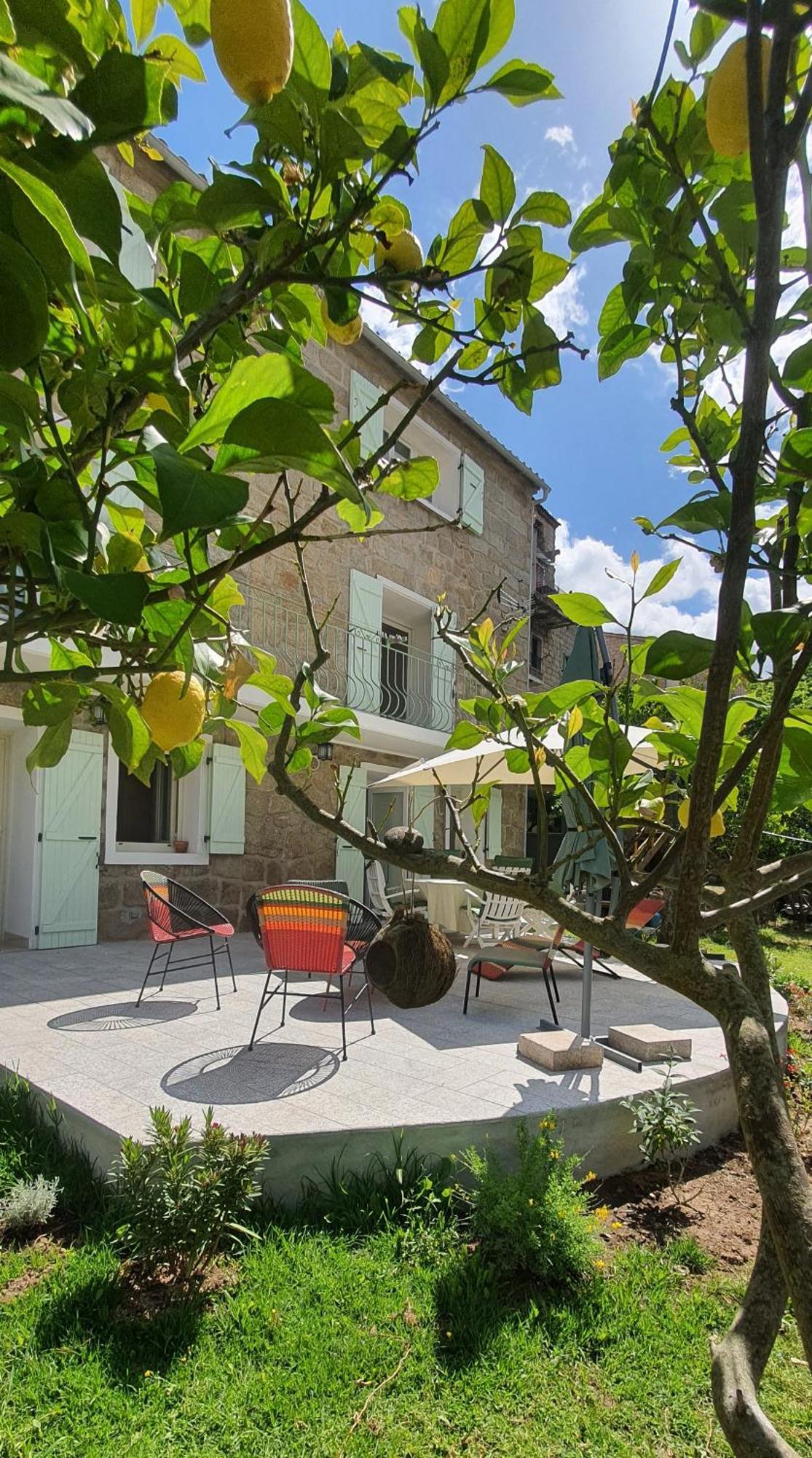 Charmant Appartement En Rez De Jardin Сартен Экстерьер фото